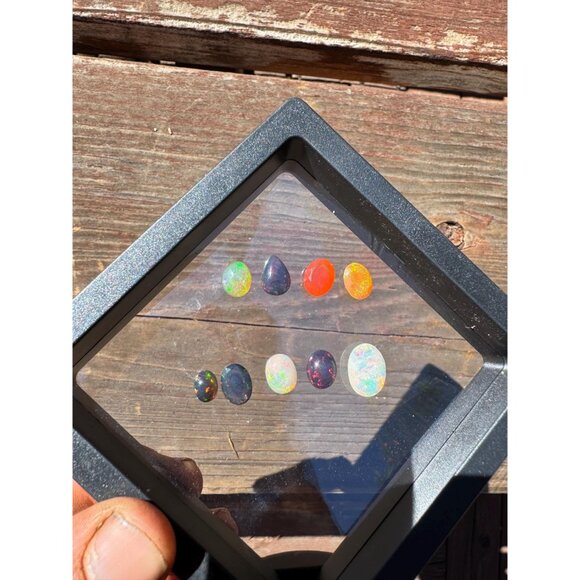 11 carats of Opals in Display Case - Picture 5 of 7